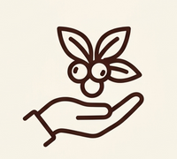 Fair Trade Beans Mindfully sourced